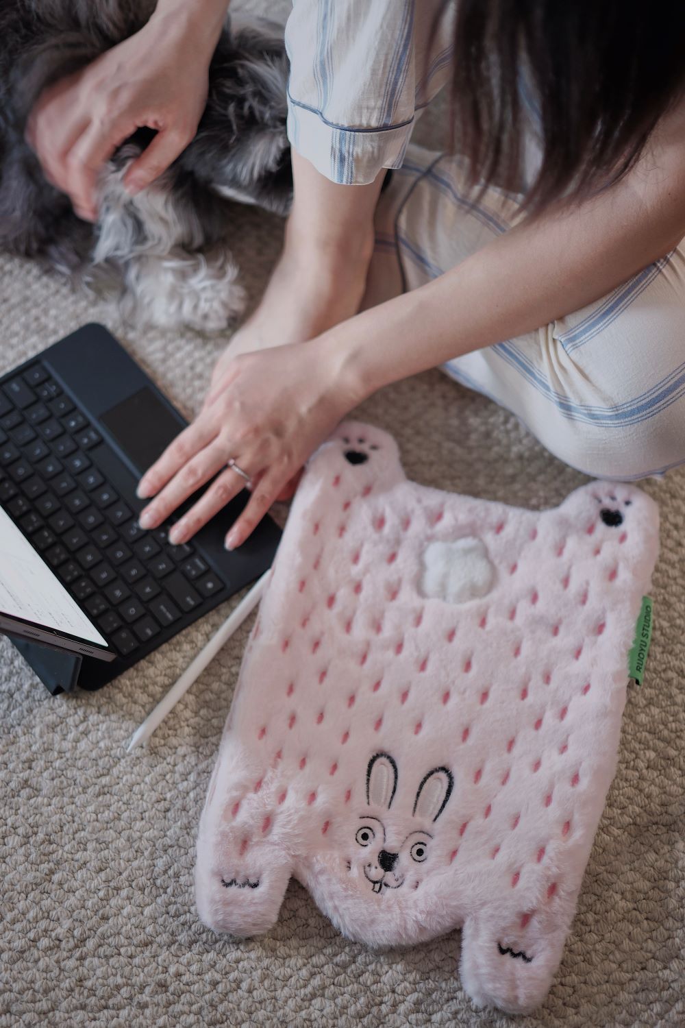 Portable Gadget Organizer iPad Storage Clutch Zipper Bag - RUOYU