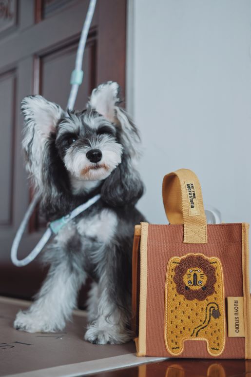 Embroidered Portable Canvas Tote Bag - RUOYU