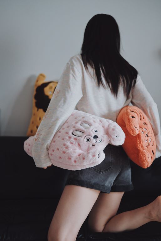 Cute Animal Plush Cushion Pillow - RUOYU