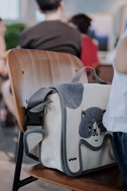Color-blocked Canvas Crossbody Bag for Casual Commuting - RUOYU