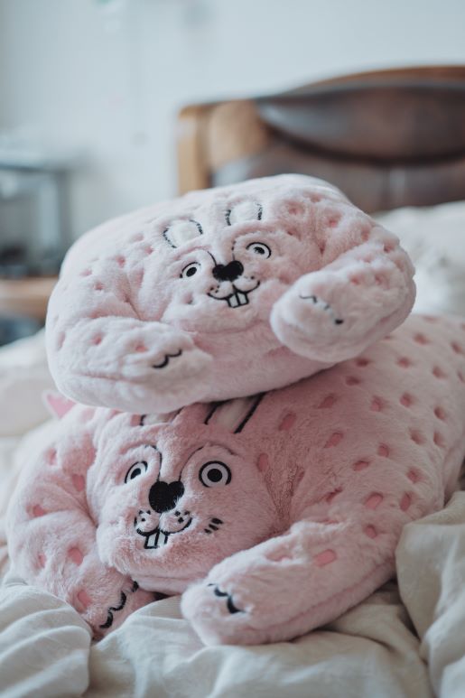 Cute Animal Plush Cushion Pillow - RUOYU
