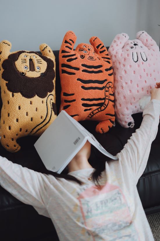 Cute Animal Plush Cushion Pillow - RUOYU