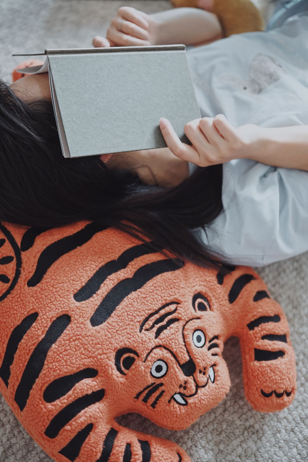 Cute Animal Plush Cushion Pillow - RUOYU
