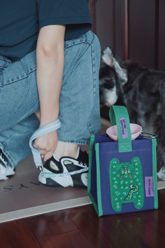 Embroidered Portable Canvas Tote Bag - RUOYU